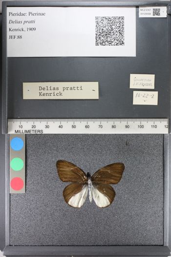 Media type: image;   Entomology 128308